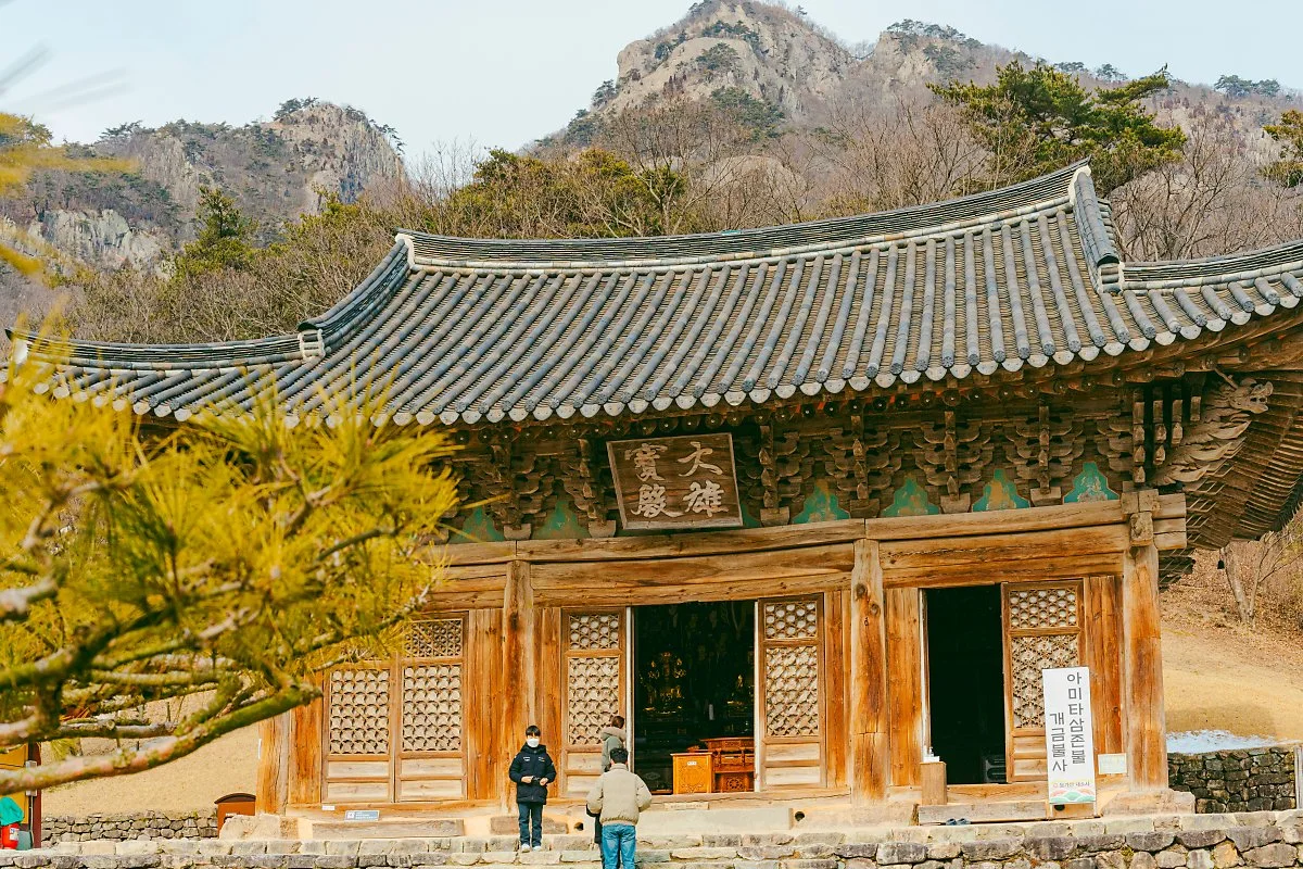 d_%EB%8C%80%ED%95%9C%EB%B6%88%EA%B5%90%EC%A1%B0%EA%B3%84%EC%A2%85_%EB%82%B4%EC%86%8C%EC%82%AC.jpg?type=w1200