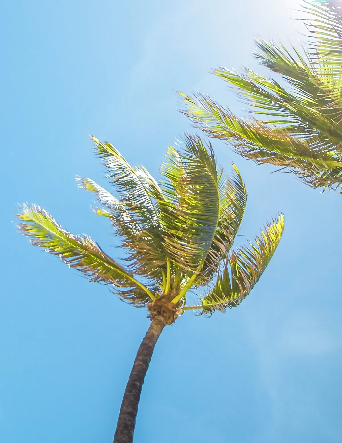 %ED%99%8D%EC%BD%A9_%EC%88%98%EC%A0%95__%281_-_1%29.jpg?type=w1200