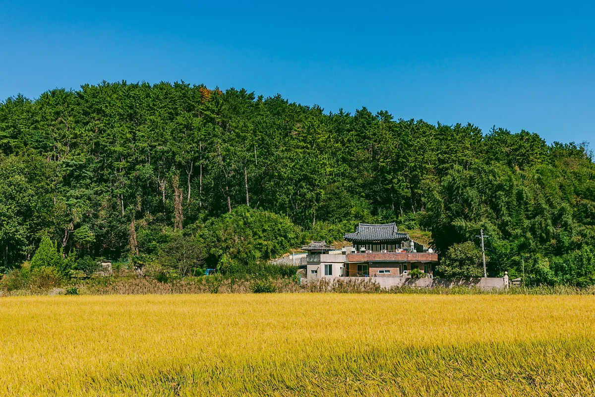 d_%EB%B6%80%EC%82%B0_%EA%B8%B0%EC%9E%A5%EA%B5%B0%EC%9D%98_%ED%8F%89%ED%99%94%EB%A1%9C%EC%9A%B4_%EB%AA%A8%EC%8A%B5.jpg?type=w1200