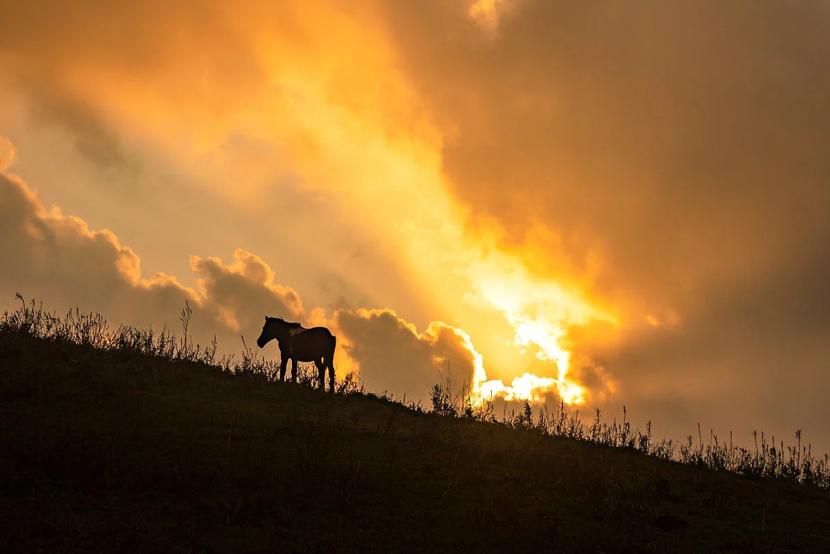 %EB%AC%B8%EB%8F%84%EC%A7%80%EC%98%A4%EB%A6%84_%281%29.jpg?type=w1200