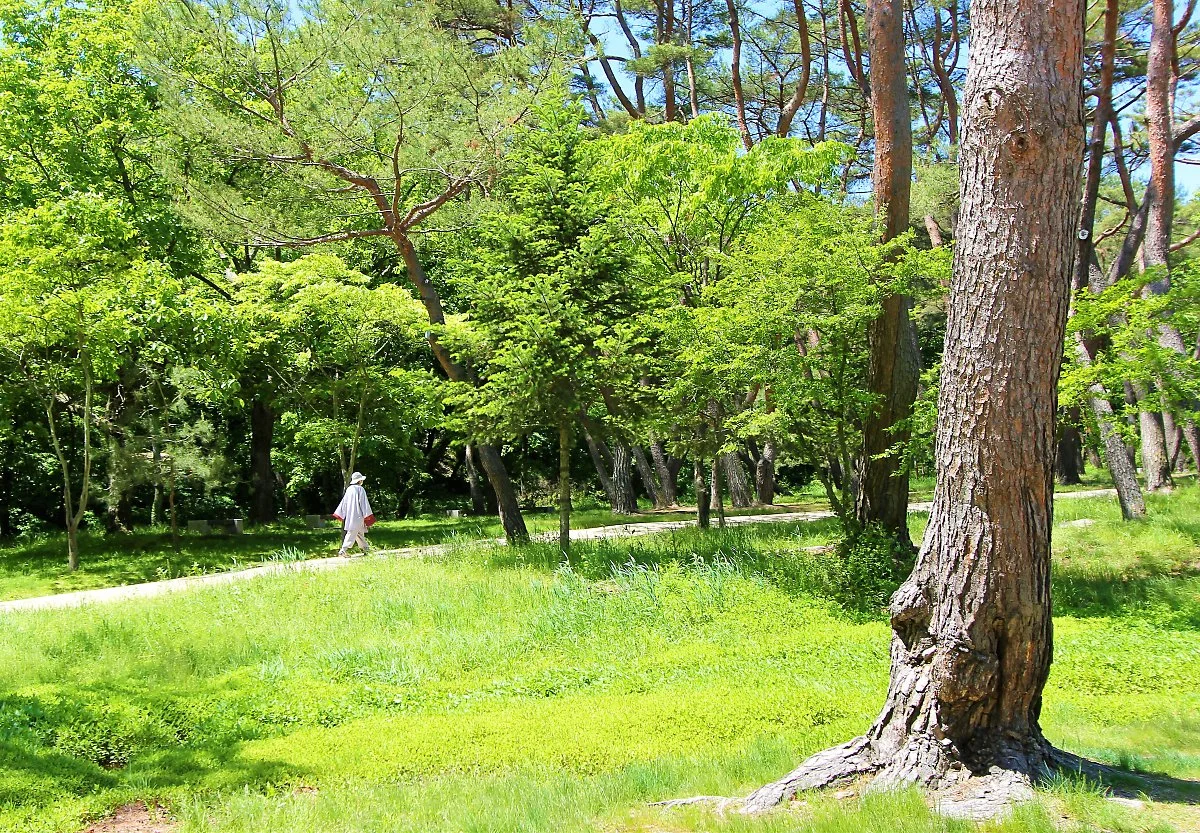 01%EA%B9%80%ED%8F%AC%EC%9E%A5%EB%A6%89_%284%29.JPG?type=w1200