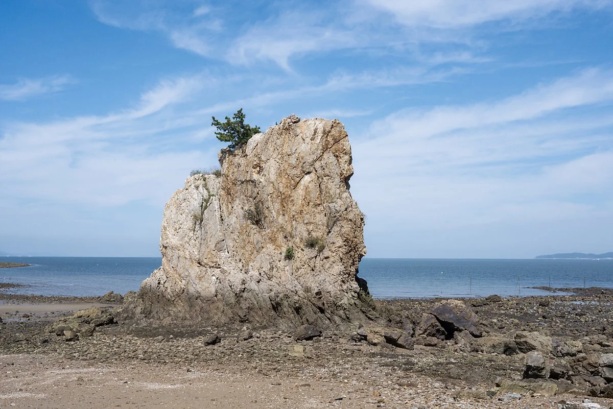 %EB%B6%80%EC%B1%84%EB%B0%94%EC%9C%84_%286%29.jpg?type=w1200