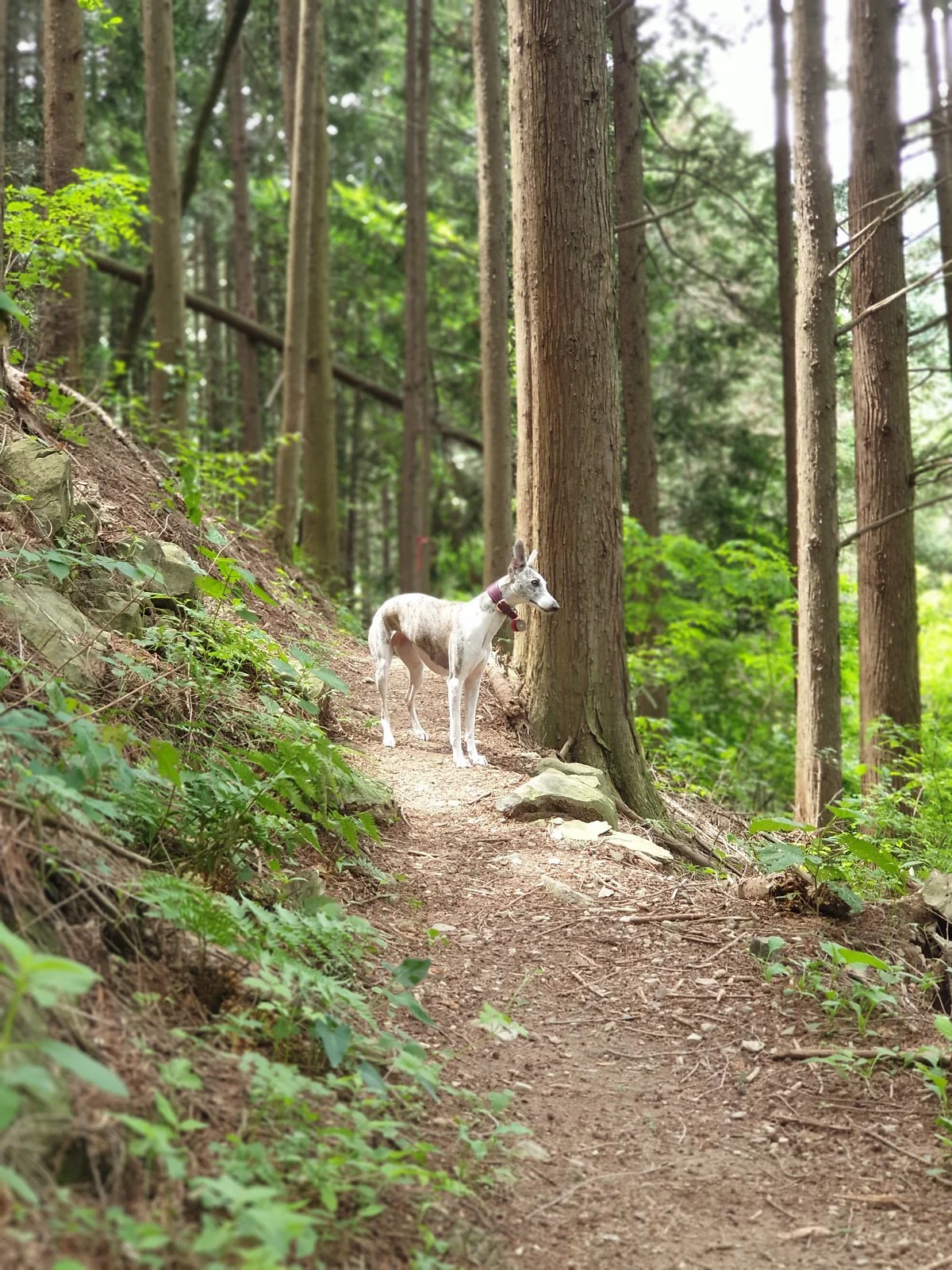 20190530_142013.jpg?type=w1200