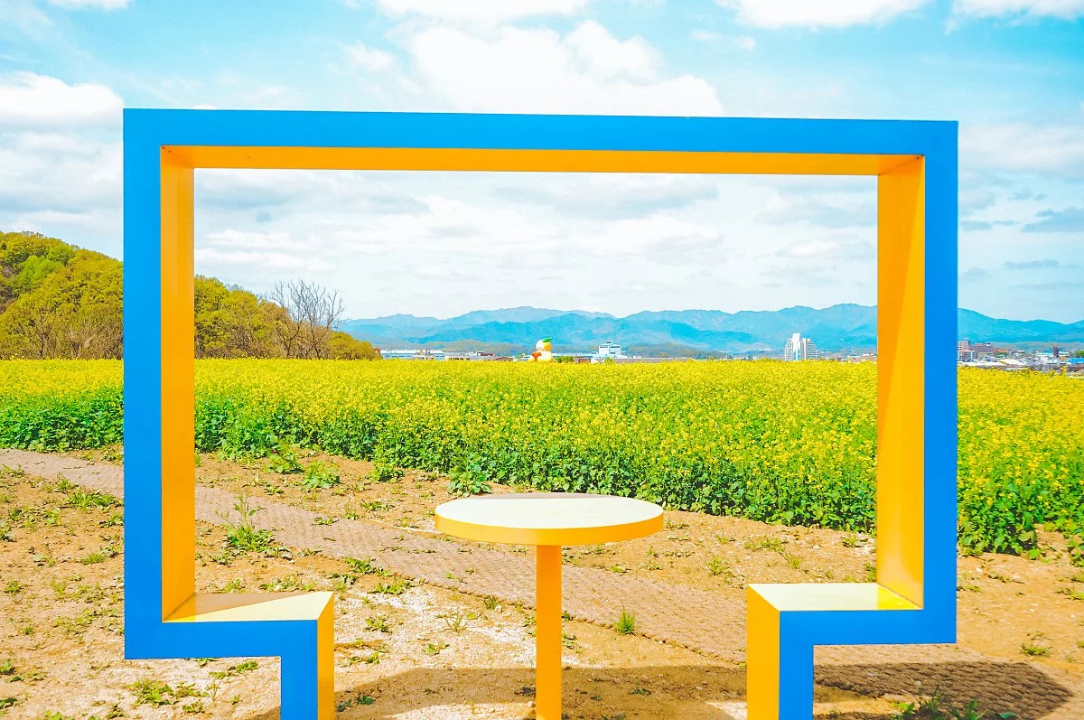 %EC%84%B1%EC%82%B0%EB%8F%99_%EA%B3%A0%EB%B6%84%EA%B5%B0_%EC%9C%A0%EC%B1%84%EA%BD%83%EB%B0%AD%EC%B6%94%EA%B0%80_%EC%BB%B7.jpg?type=w1200