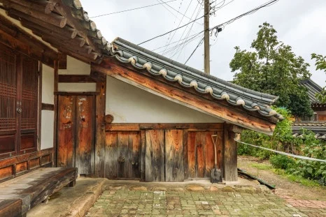 IMG_7064.jpg?type=w466