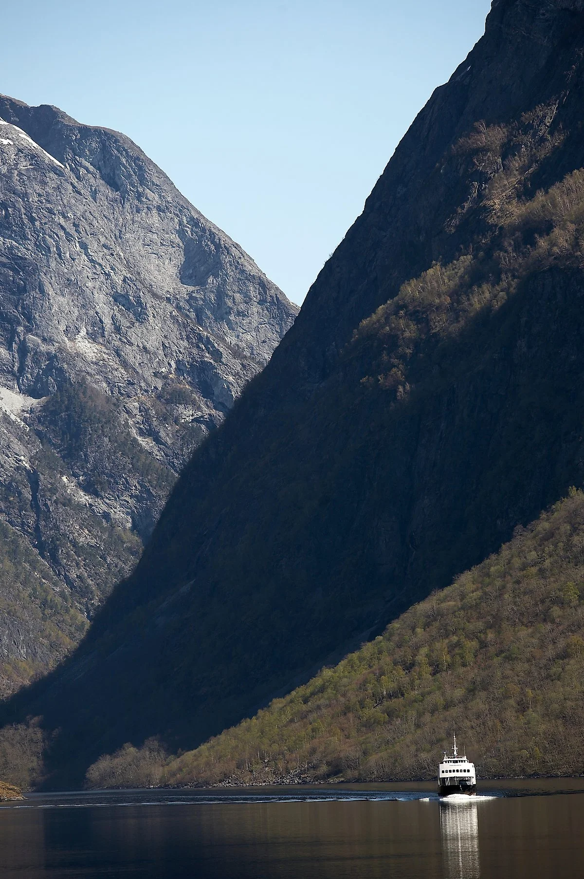 %ED%94%BC%EC%98%A4%EB%A5%B4_%283%29.jpg?type=w1200