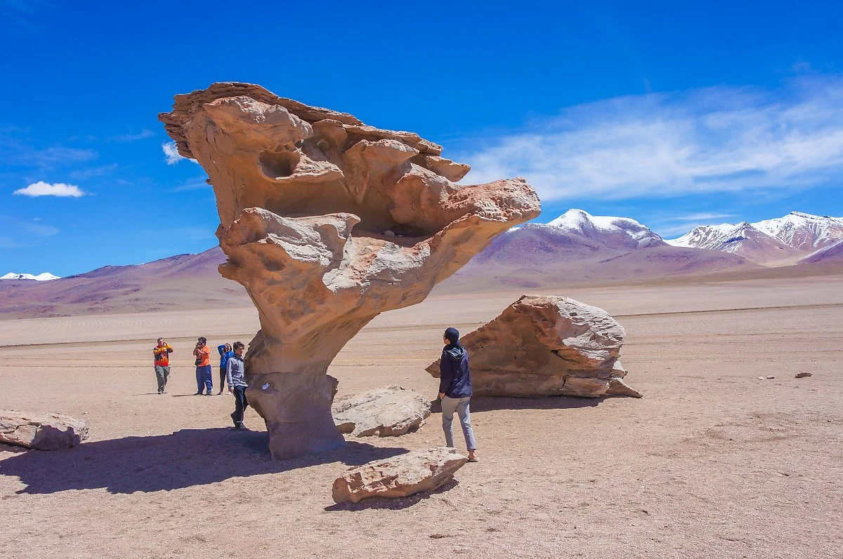 %EB%9D%BC%EA%B5%AC%EB%82%98_%EA%B5%AD%EB%A6%BD%EA%B3%B5%EC%9B%90_%281%29.jpg?type=w1200