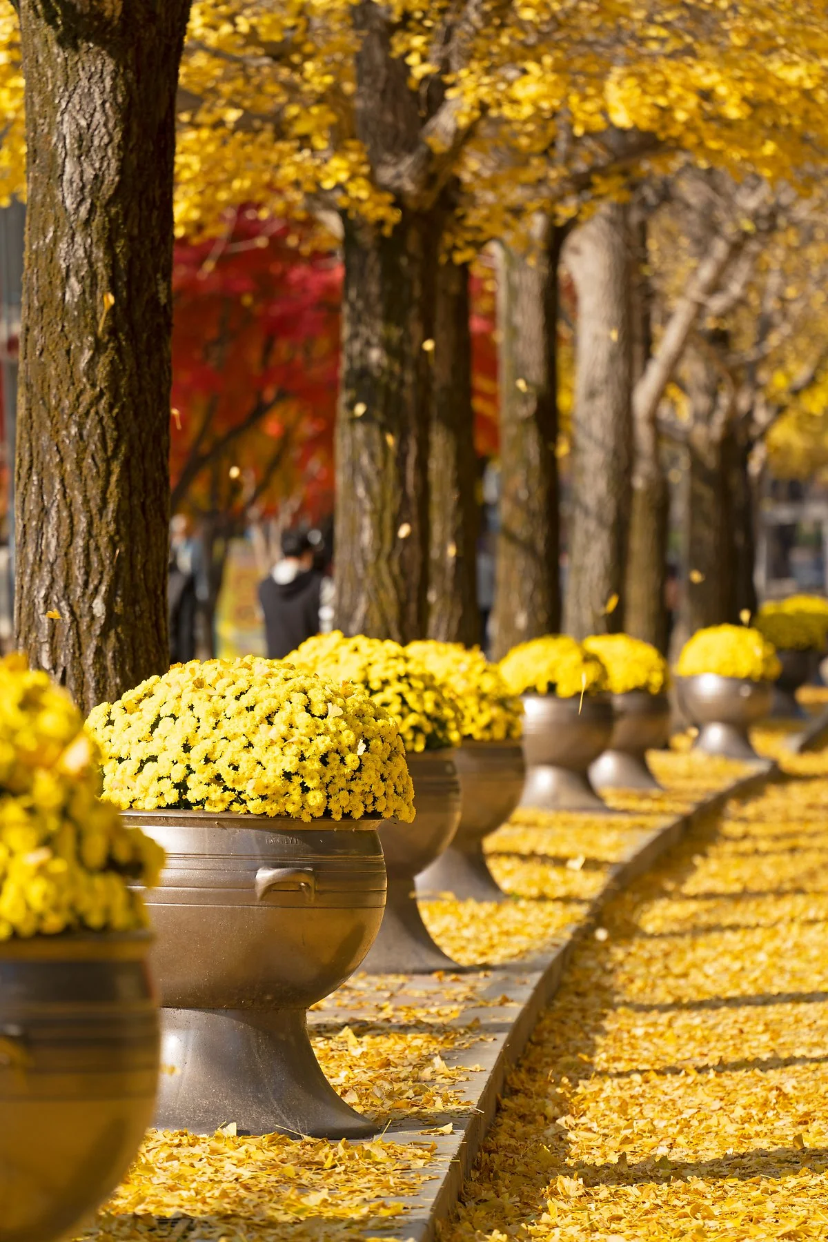 %EC%82%AC%EC%A7%842_%EB%AC%B8%EA%B2%BD%EC%83%88%EC%9E%AC_%EB%8B%A8%ED%92%8D.jpg?type=w1200