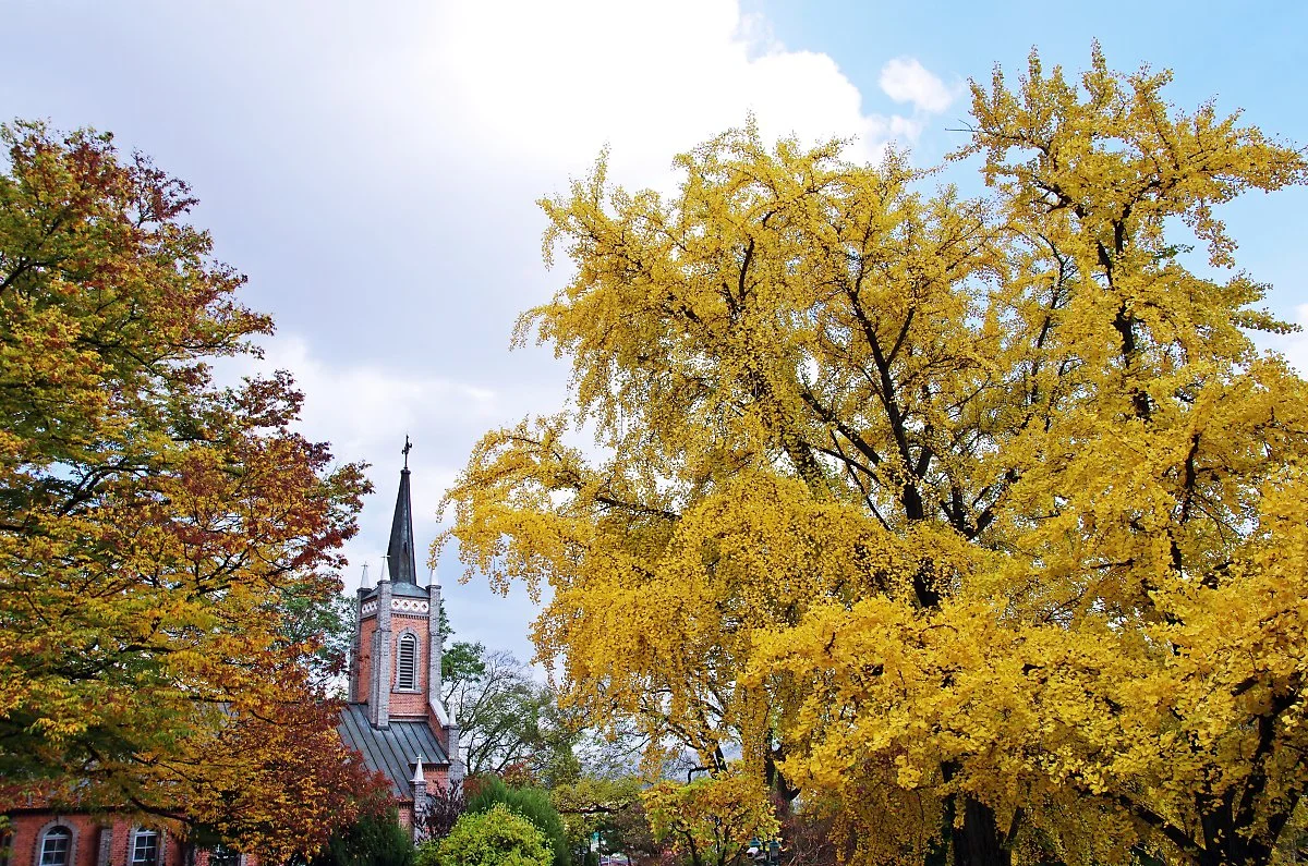 %EA%B3%B5%EC%84%B8%EB%A6%AC%EC%84%B1%EB%8B%B9.JPG?type=w1200