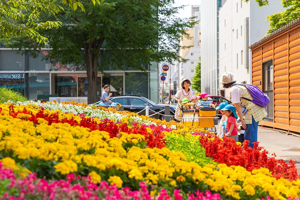 %EC%82%BF%ED%8F%AC%EB%A1%9C_%EC%97%AC%EB%A6%84_%EC%82%BF%ED%8F%AC%EB%A1%9C_%ED%92%8D%EA%B2%BD.jpg?type=w1200