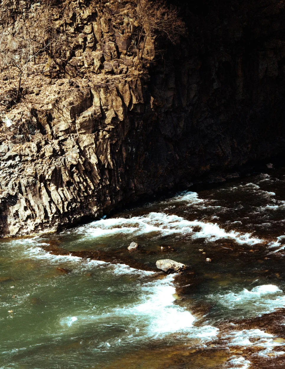 %EC%B2%A0%EC%9B%90-1-12.jpg?type=w966