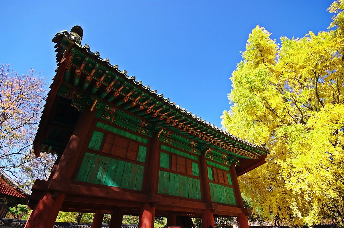 %EC%A1%B0%EC%84%A0%EC%99%95%EC%A1%B0%EC%8B%A4%EB%A1%9D%EC%9D%84_%EB%B3%B4%EA%B4%80%ED%96%88%EB%8D%98_%EC%82%AC%EA%B3%A0.JPG?type=w1200