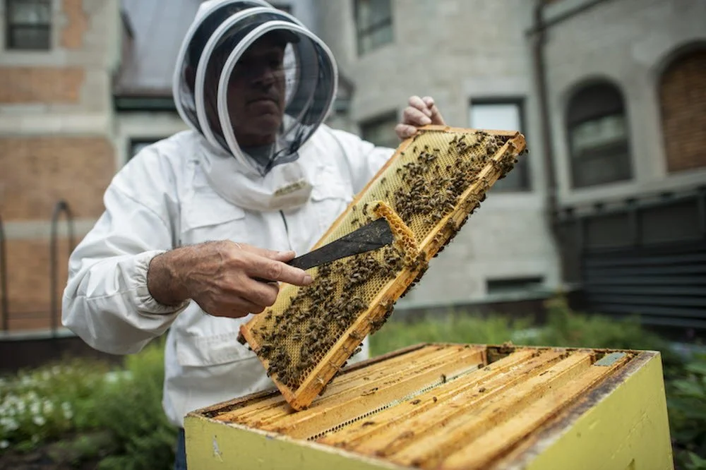 %C2%A9Bonjour_Qu%C3%A9bec%281%29.jpg?type=w1200