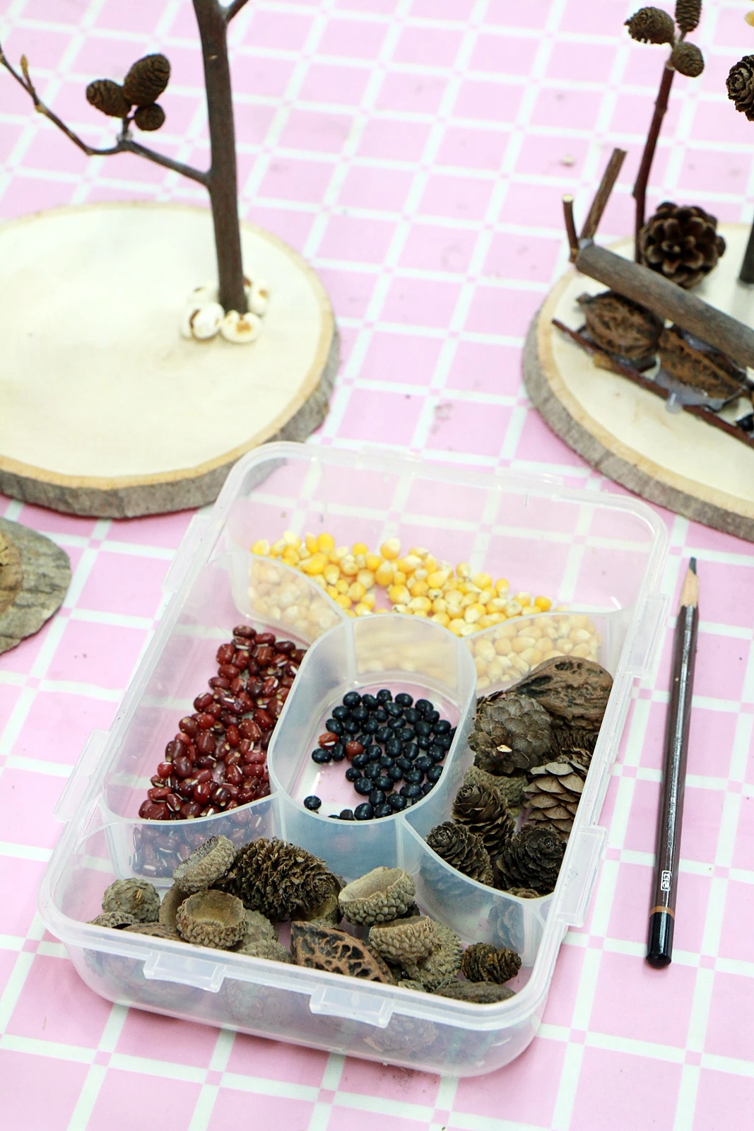 하추자연체험학교 (9).JPG