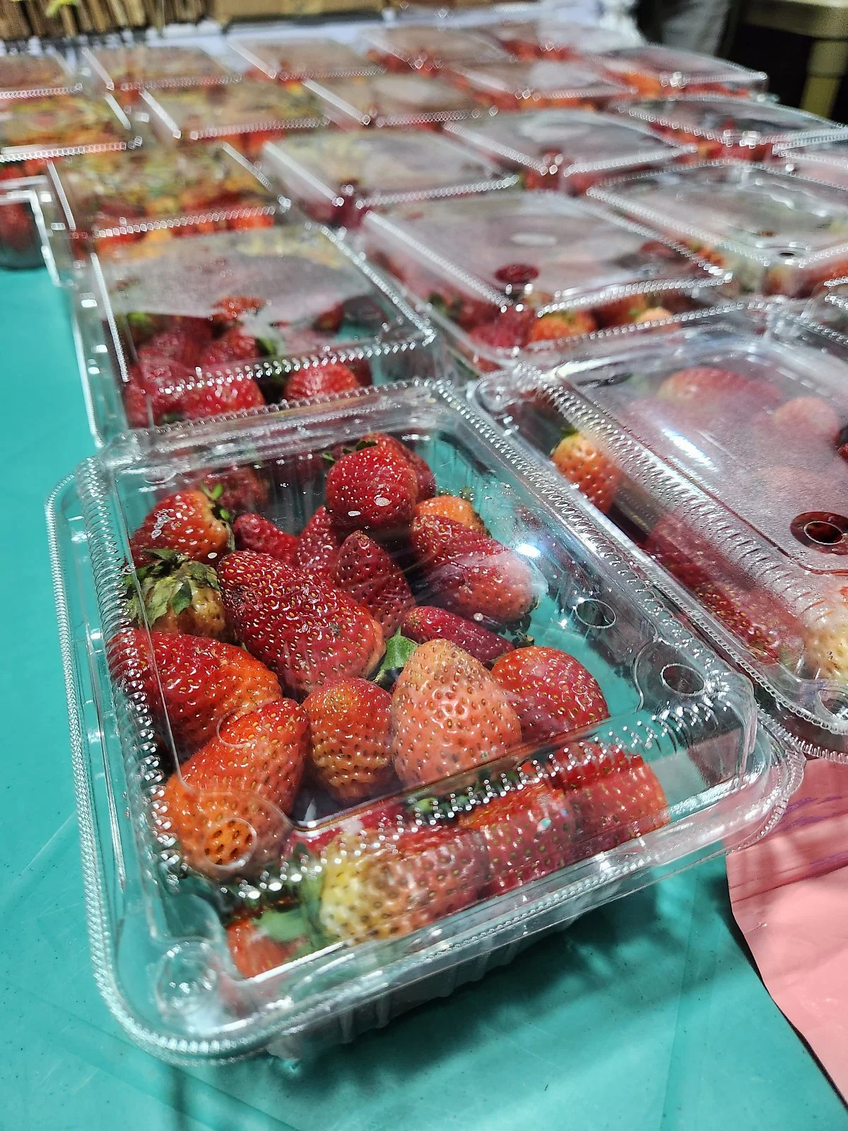 %EB%B0%94%EA%B8%B0%EC%98%A4%EC%95%BC%EC%8B%9C%EC%9E%A5_%2818%29.jpg?type=w1200