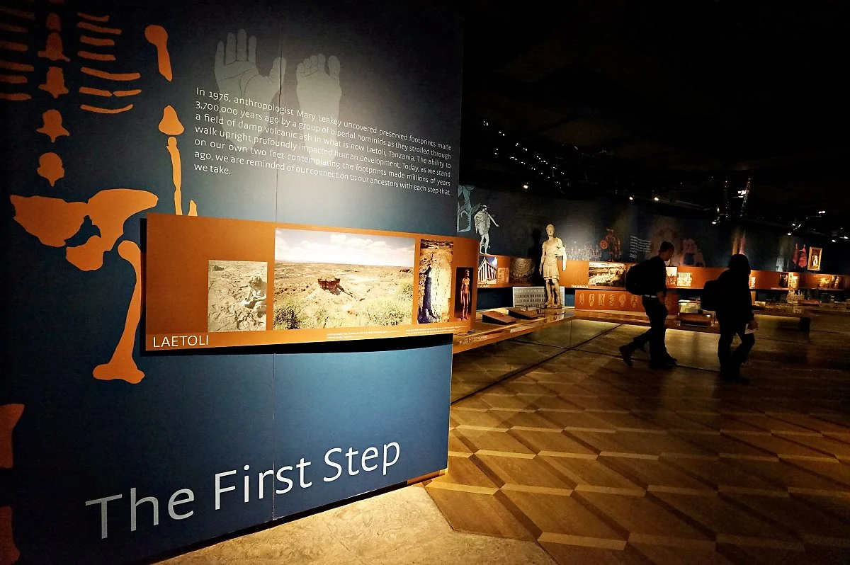 %EC%BA%90%EB%82%98%EB%8B%A4_by_%EC%8B%A0%EC%A4%91%EC%88%99_%ED%86%A0%EB%A1%A0%ED%86%A0_%EB%B0%94%ED%83%80%EC%8A%88_%282%29.JPG?type=w1200