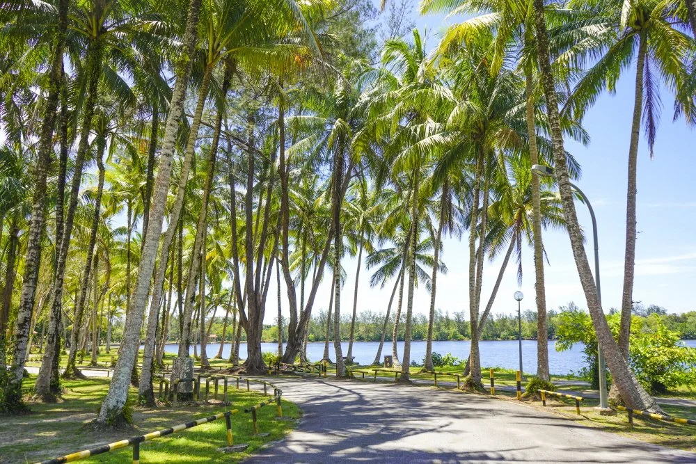 %EC%95%88%EB%91%90%ED%82%A4%ED%98%B8%EC%88%98_%283%29.JPG?type=w1200