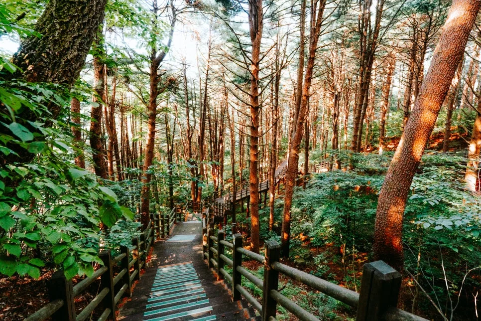 %ED%81%AC%EA%B8%B0%EB%B3%80%ED%99%98%EA%B5%AD%EB%A6%BD%EA%B9%80%EC%B2%9C%EC%B9%98%EC%9C%A0%EC%9D%98%EC%88%B2_(17).jpg?type=w966