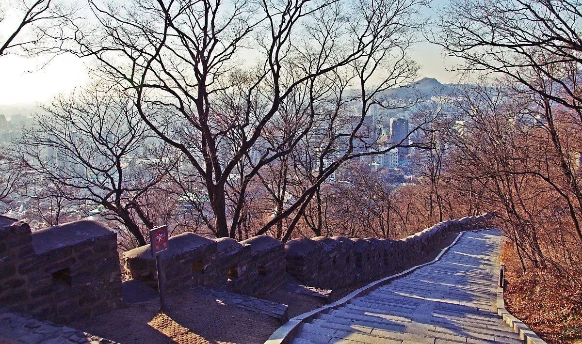 %EB%82%A8%EC%82%B0_%EB%B4%89%EC%88%98%EB%8C%80_%EC%98%86_%EA%B3%84%EB%8B%A8%EC%9C%BC%EB%A1%9C_%EB%82%B4%EB%A0%A4%EA%B0%80%EB%8A%94_%EA%B8%B8._%ED%95%9C%EC%96%91%EB%8F%84%EC%84%B1_%EC%84%B1%EA%B3%BD%EC%9D%80_%EC%9D%B4%EA%B3%B3%EC%97%90%EB%8F%84_.JPG?type=w1200