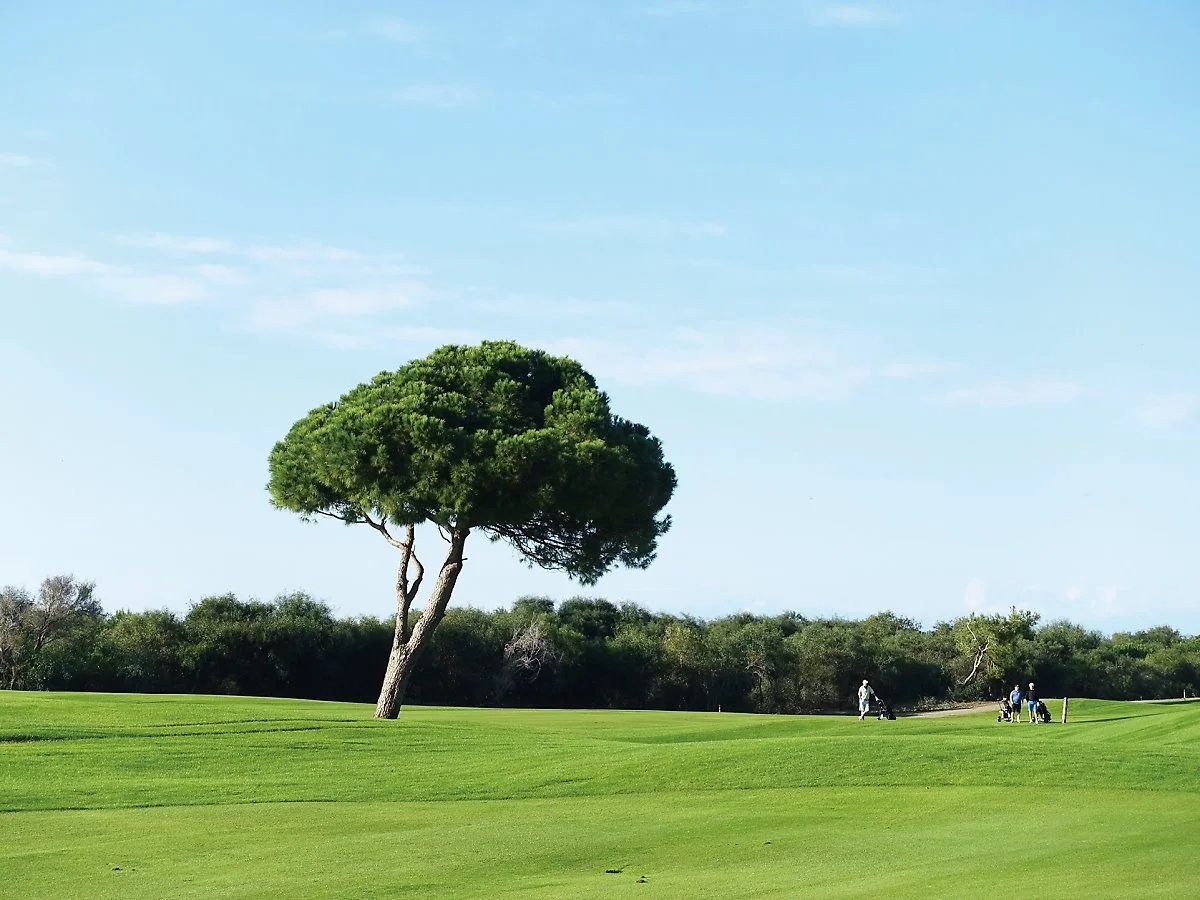 %ED%83%80%EC%9D%B4%ED%83%80%EB%8B%89GC_%2875%29.JPG?type=w1200