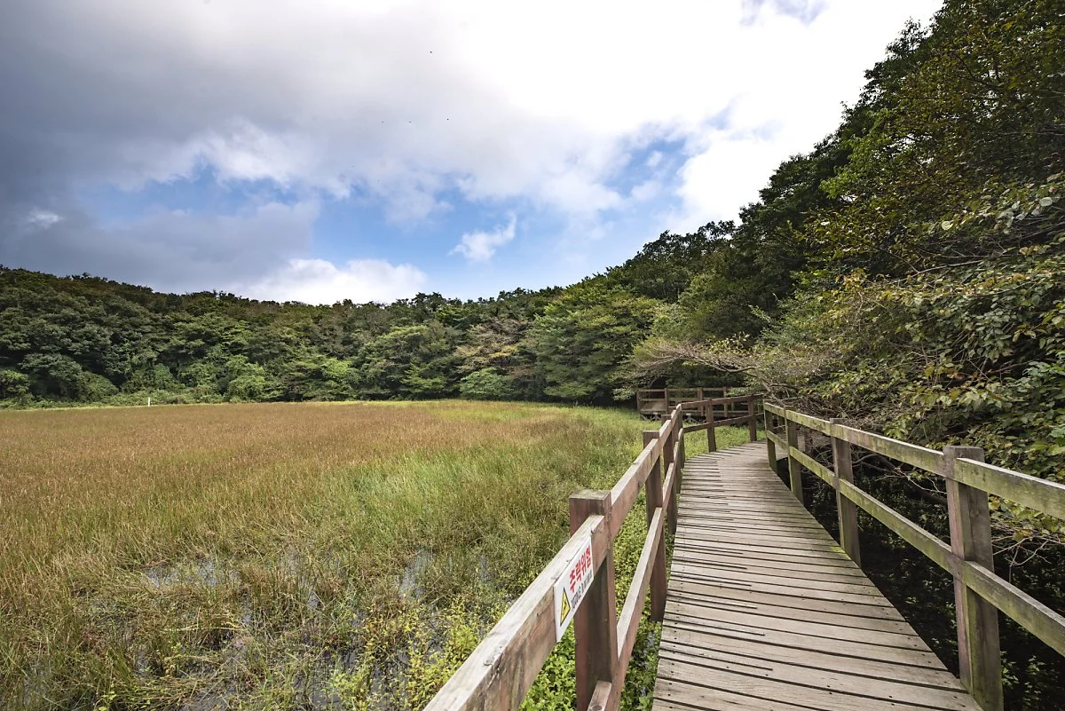 %ED%81%AC%EA%B8%B0%EB%B3%80%ED%99%98%EB%AC%BC%EC%98%81%EC%95%84%EB%A6%AC_%285%29.jpg?type=w1200