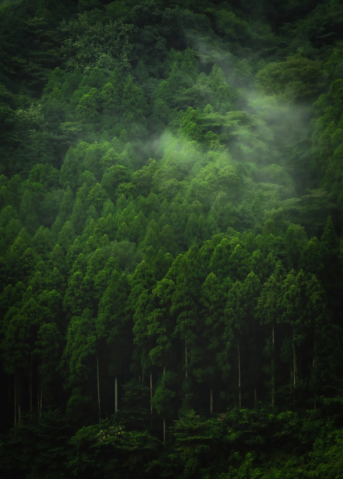 ONCRI%285%29.jpg?type=w1200