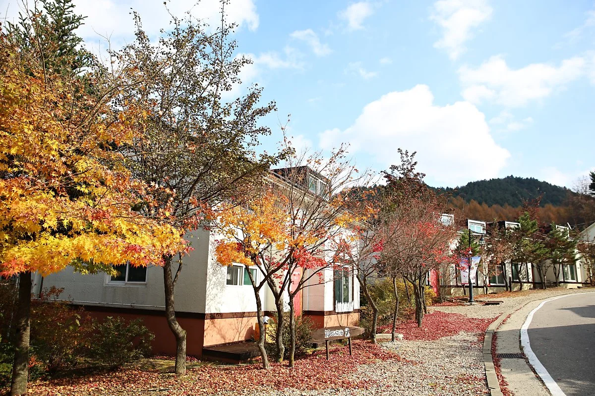 %EC%A0%84%EA%B2%BD_%284%29.JPG?type=w1200