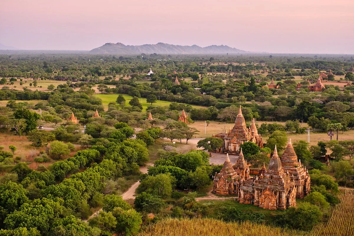 %ED%8C%8C%EA%B3%A0%EB%8B%A4%EC%9D%98_%EA%B3%A0%ED%96%A5_%EB%B0%94%EA%B0%84.jpg?type=w1200