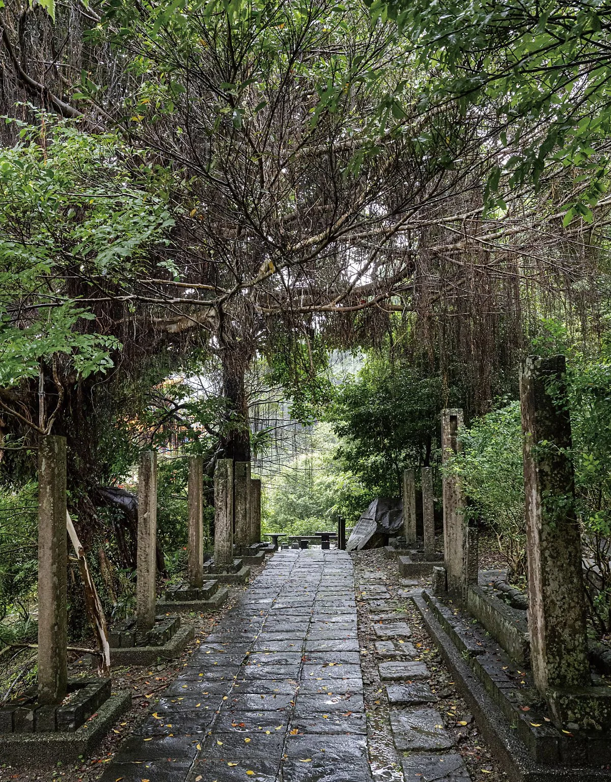 %EC%B0%A8%EC%98%A4%EB%A7%81%EA%B3%A0%EB%8F%84.jpg?type=w1200