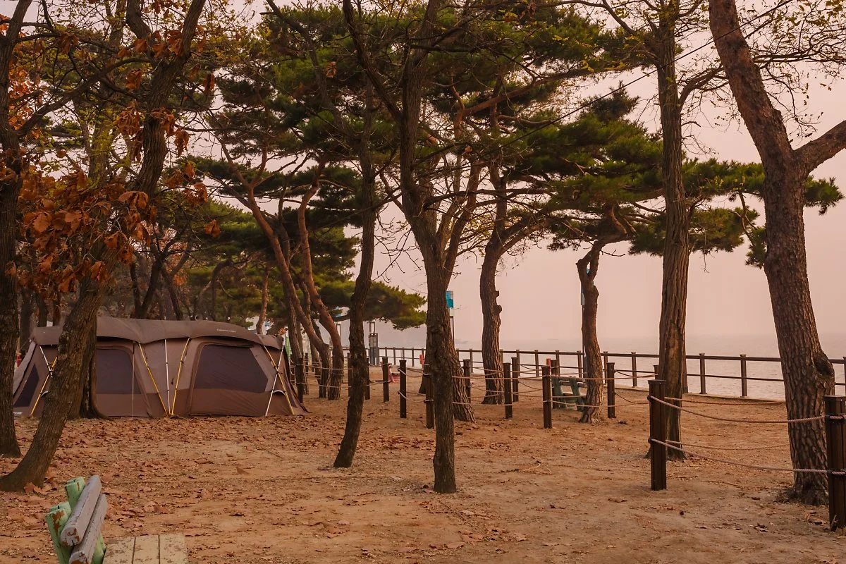 %EB%8F%99%EB%A7%89%ED%95%B4%EB%B3%80_%283%29.jpg?type=w1200