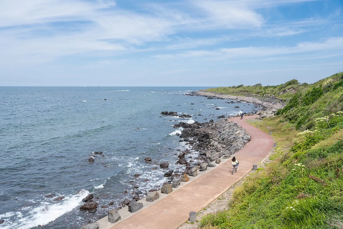 %EA%B0%80%ED%8C%8C%EB%8F%84_%2817%29.jpg?type=w1200