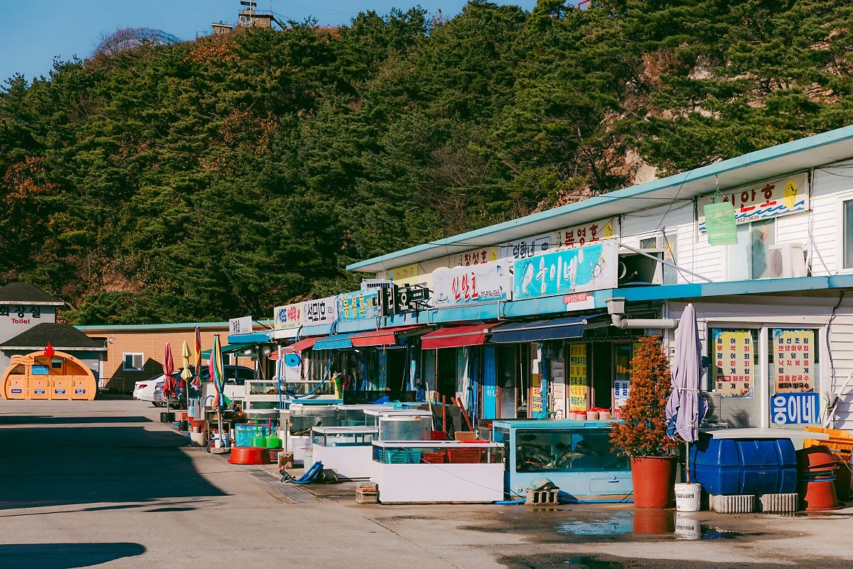 %EF%80%88d_%EC%9E%A5%EA%B3%B3%ED%95%AD_1.jpg?type=w1200