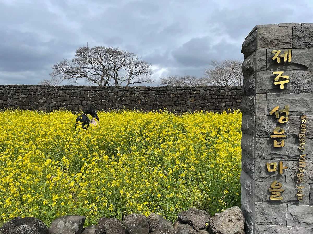 %EC%84%B1%EC%9D%8D%EB%AF%BC%EC%86%8D%EB%A7%88%EC%9D%84%EC%9C%A0%EC%B1%84%EA%BD%83_%282%29.JPG?type=w1200