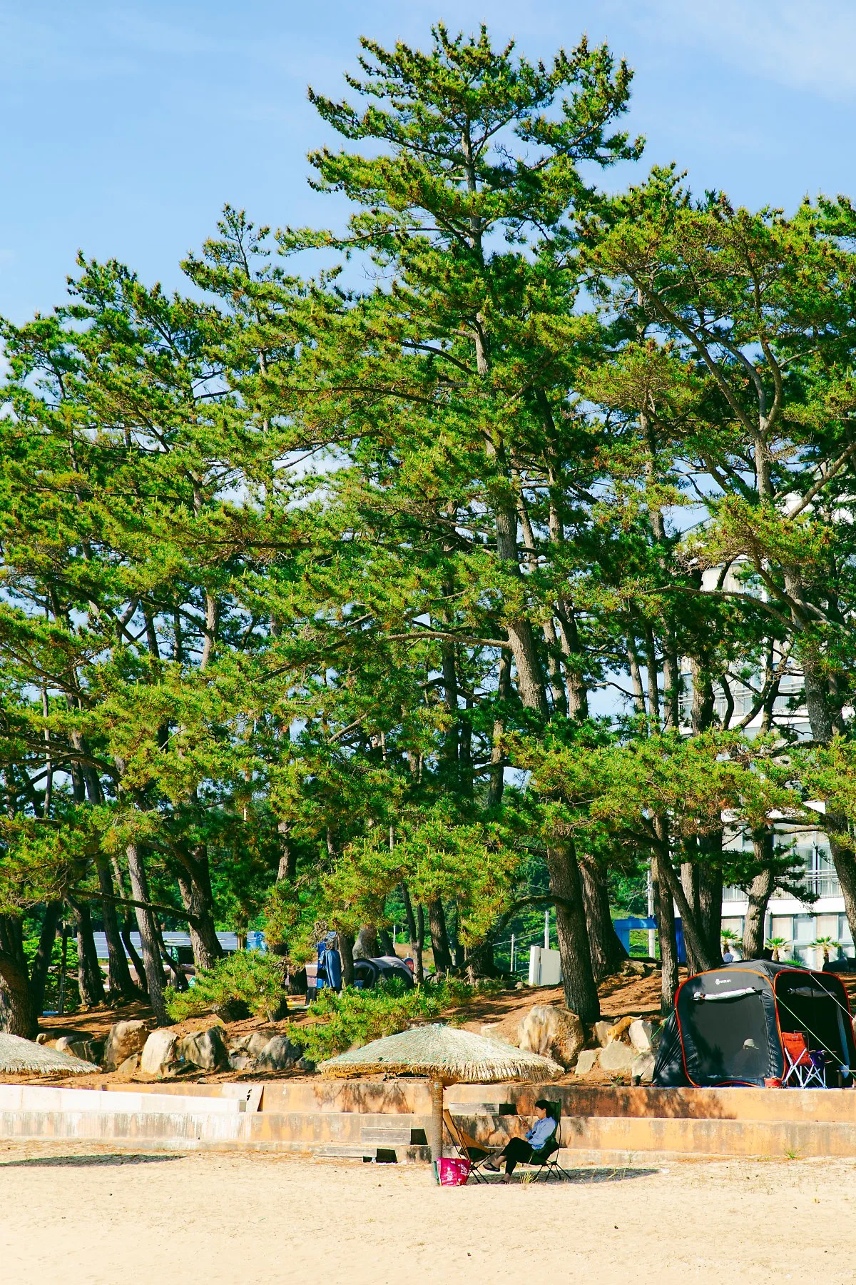 %EC%86%A1%ED%98%B8%ED%95%B4%EC%88%98%EC%9A%95%EC%9E%A5%282%29.jpg?type=w1200