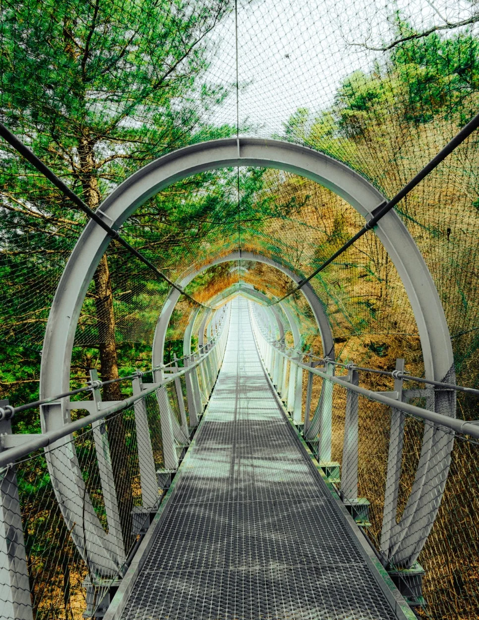 %EC%B2%A0%EC%9B%90-2-3.jpg?type=w966