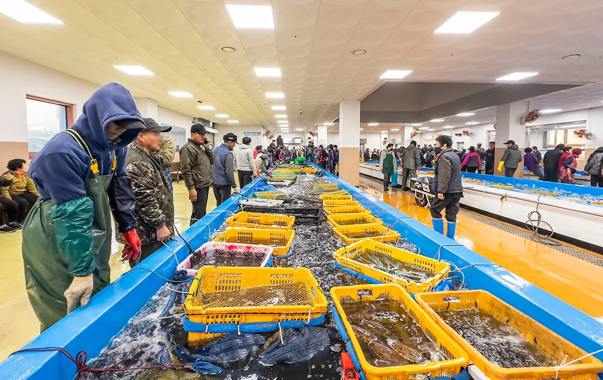 %EC%9C%84%ED%8C%90%EC%9E%A5_%EC%95%84%EC%B9%A8%EA%B2%BD%EB%A7%A4_3.jpg?type=w1200