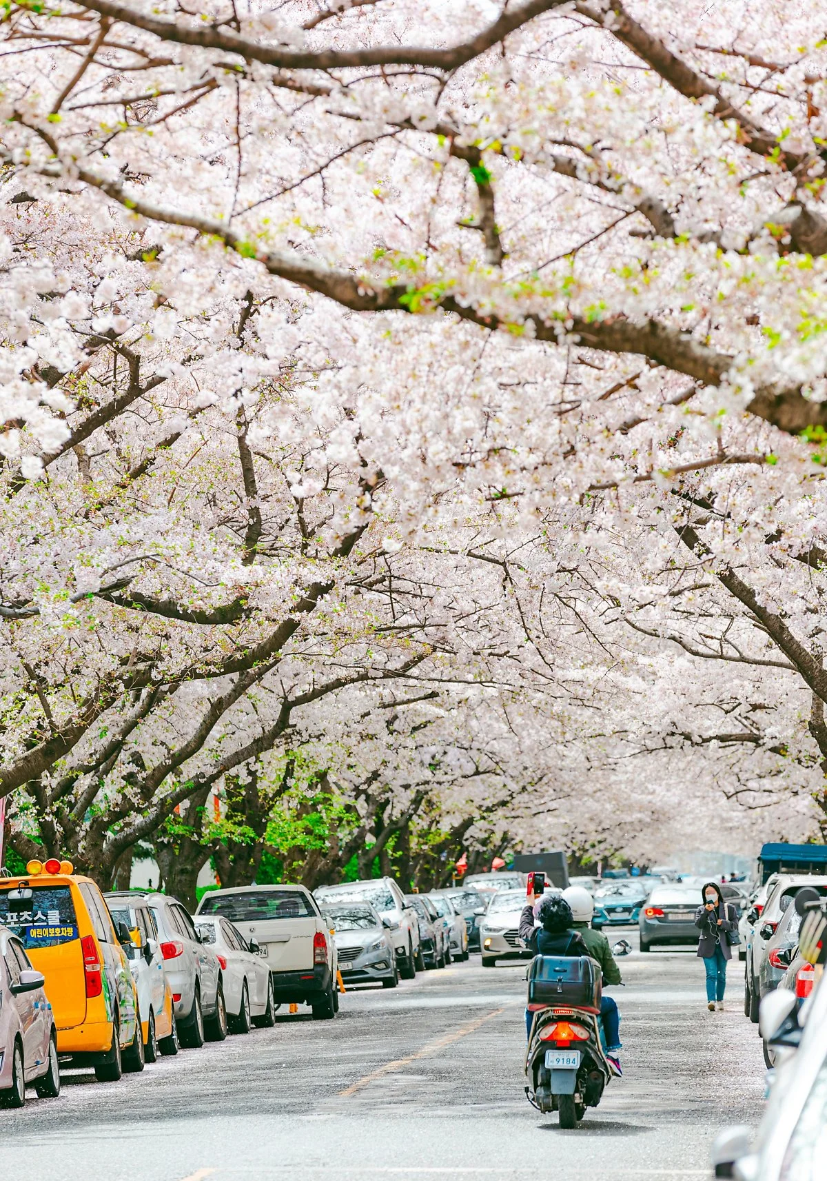 image_9792232471647578455815.jpg?type=w1200