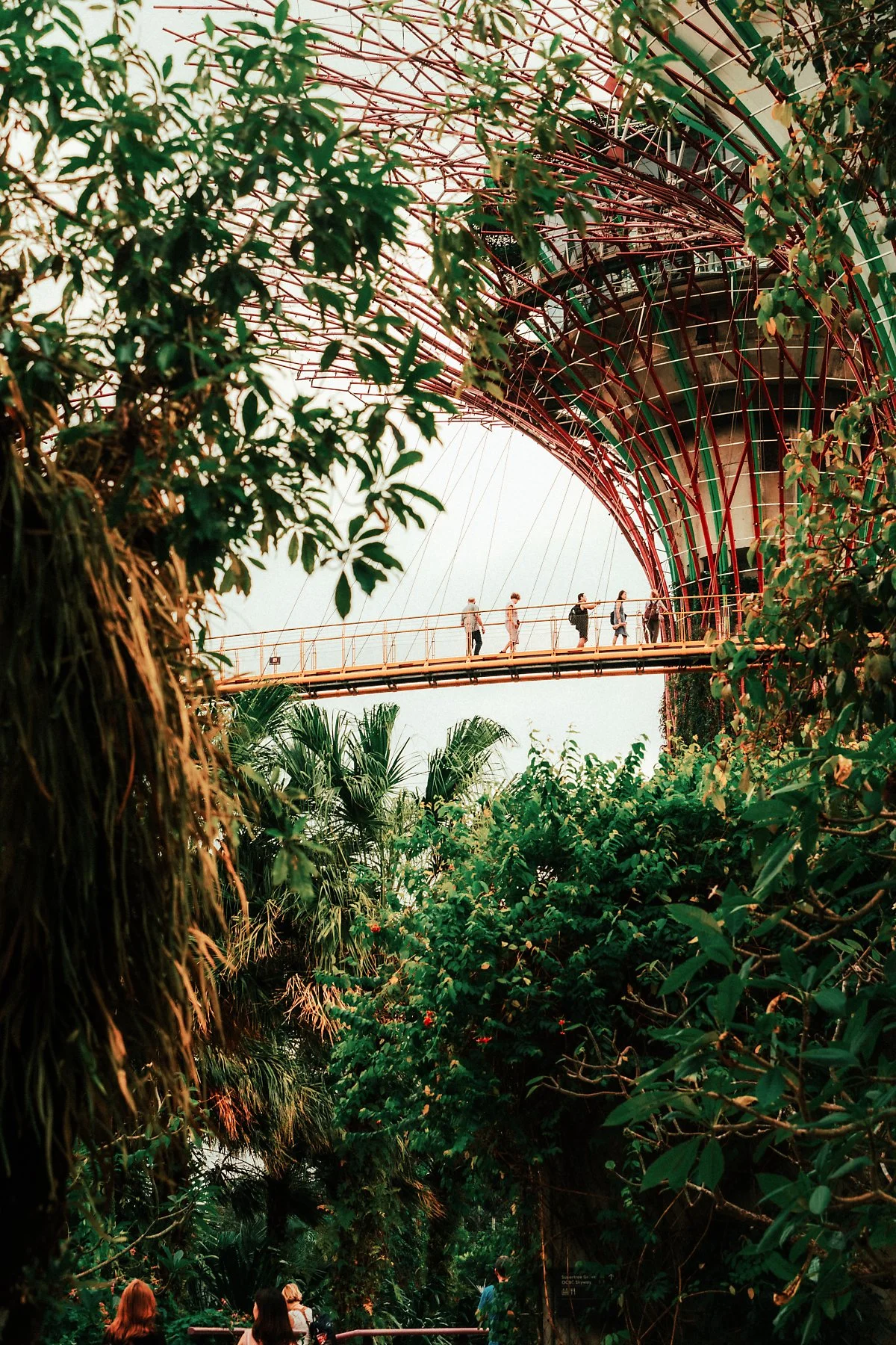 %EA%B0%80%EB%93%A0%EC%8A%A4_%EB%B0%94%EC%9D%B4_%EB%8D%94_%EB%B2%A0%EC%9D%B4_%286%29.jpg?type=w1200