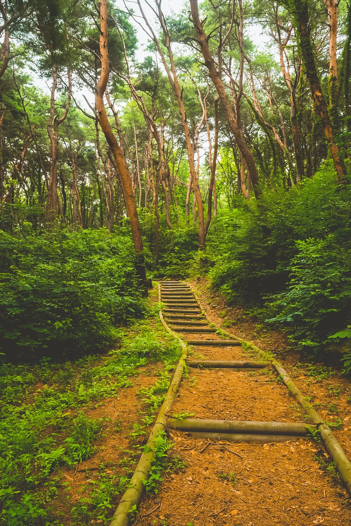 6p_%281%29.jpg?type=w1200