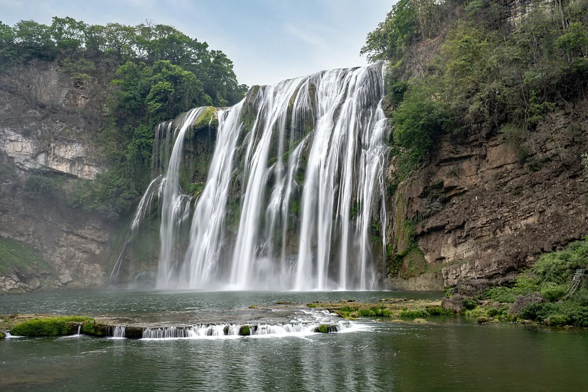 %ED%99%A9%EA%B3%BC%EC%88%98%ED%8F%AD%ED%8F%AC_%283%29.jpg?type=w1200