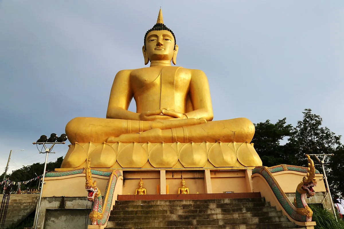 %ED%91%B8_%EC%82%B4%EB%9D%BC%EC%98%A4_%EC%82%AC%EC%9B%90_%ED%99%A9%EA%B8%88%EB%B6%88%EC%83%81.jpg?type=w1200