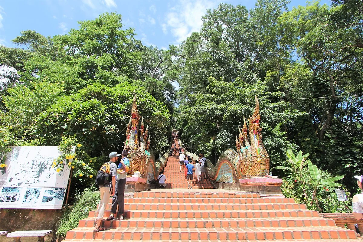 01%EC%99%93_%ED%94%84%EB%9D%BC%ED%83%93_%EB%8F%84%EC%9D%B4%EC%91%A4%ED%85%9D_%282%29.JPG?type=w1200