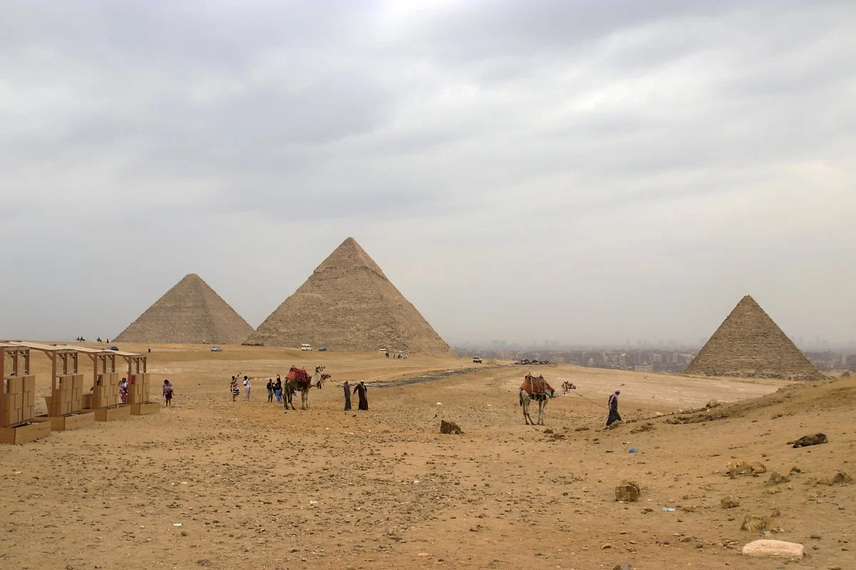 %ED%94%BC%EB%9D%BC%EB%AF%B8%EB%93%9C_%EB%B7%B0%ED%8F%AC%EC%9D%B8%ED%8A%B8.jpg?type=w1200