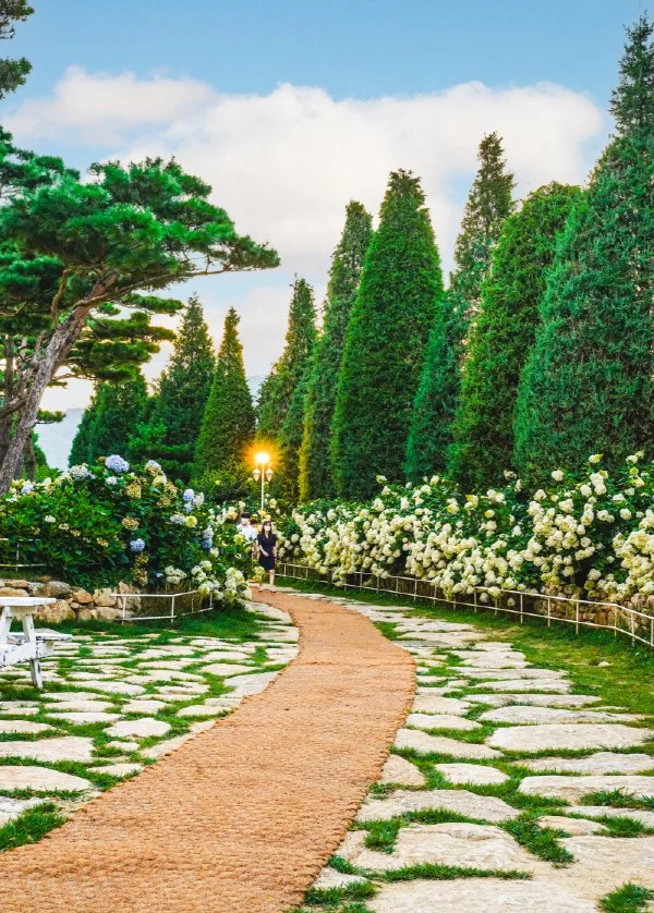 %EB%A7%88%ED%98%B8%EA%B0%80%EB%8B%88_%EC%88%98%EA%B5%AD.jpg?type=w1200