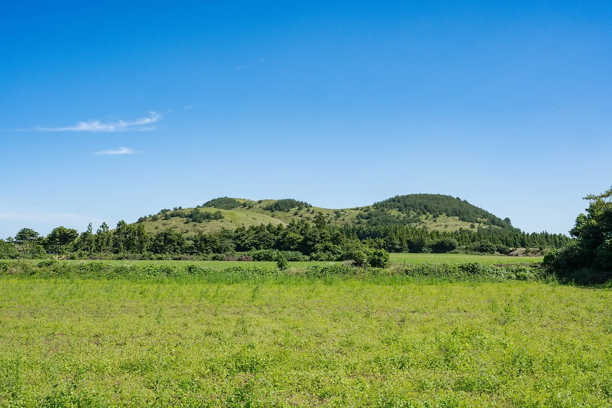 %EC%9A%A9%EB%88%88%EC%9D%B4%EC%98%A4%EB%A6%84.jpg?type=w1200