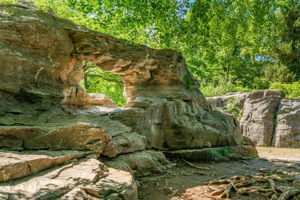 %ED%81%AC%EA%B8%B0%EB%B3%80%ED%99%98%EC%82%BC%EC%B2%99_%EC%A3%BD%EC%84%9C%EB%A3%A8_%286%29.jpg?type=w1200