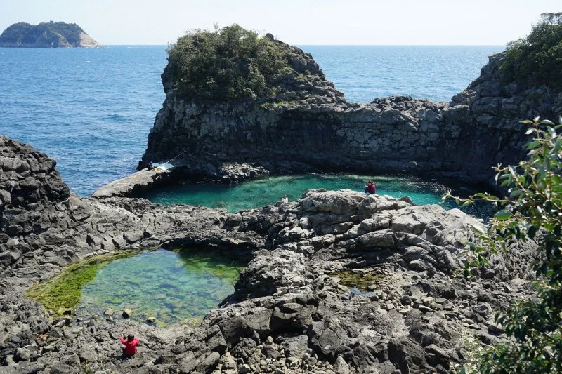 %EC%98%AC%EB%A0%887%EC%BD%94%EC%8A%A4.JPG?type=w1200