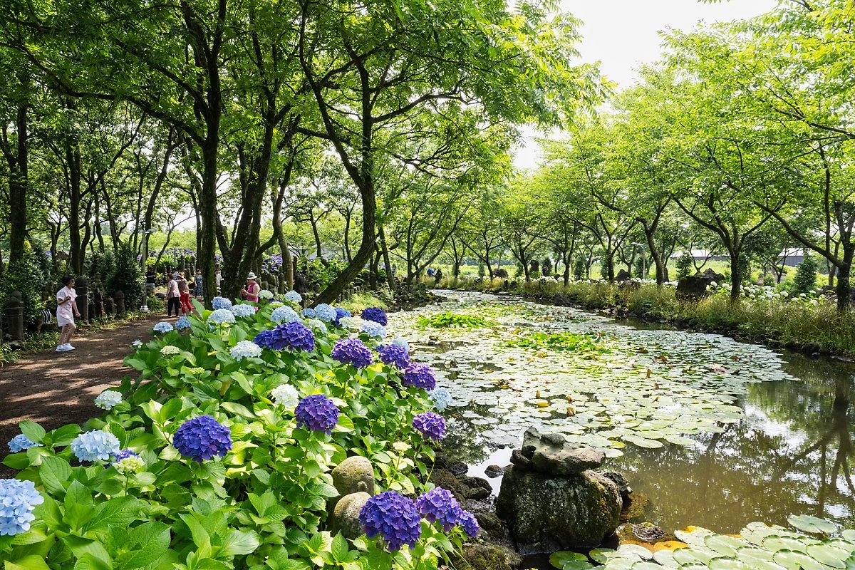 %EB%8F%99%EC%AA%BD%EC%86%A1%EB%8B%B9%EB%8F%99%ED%99%94%EB%A7%88%EC%9D%84_%288%29.jpg?type=w1200