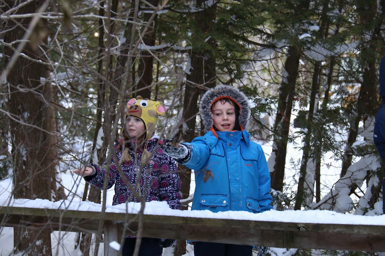 15-1.MacGregor Bird Feeding-1.JPG