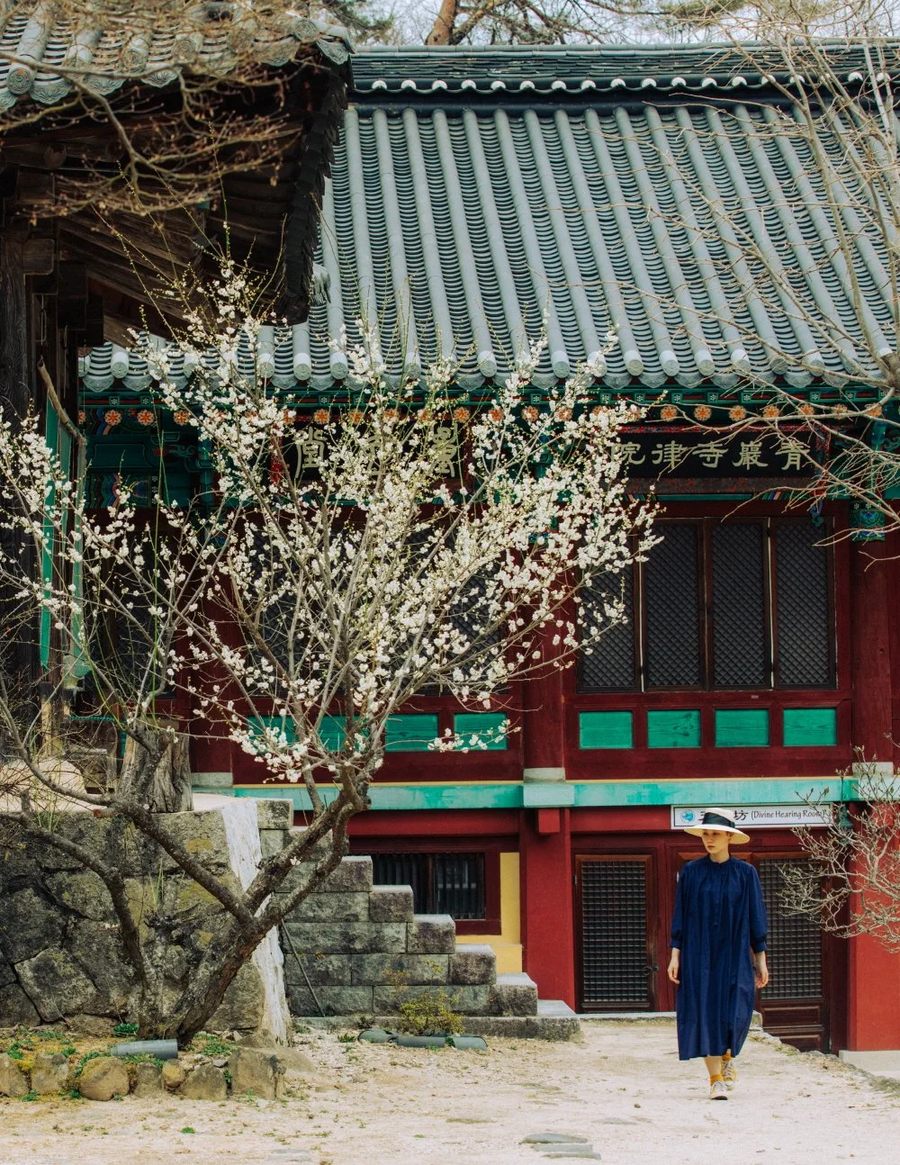 %EA%B9%80%EC%B2%9C_%EA%BD%83%EC%9D%84_%EC%B0%BE%EC%95%84%EC%84%9C__%2827_-_35%29.JPG?type=w1200